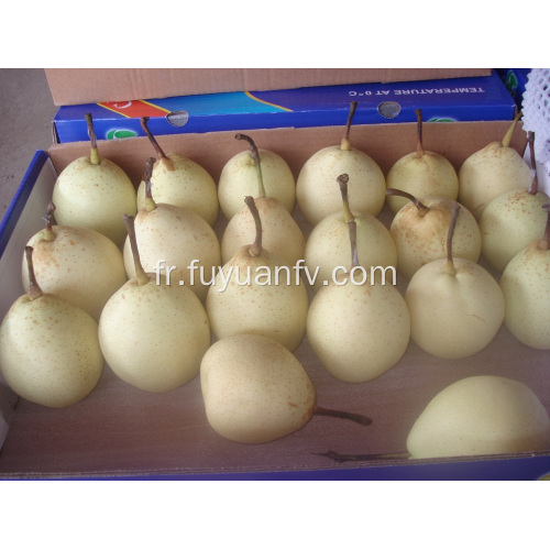 Exporter la qualité standard de Ya Ya Pear